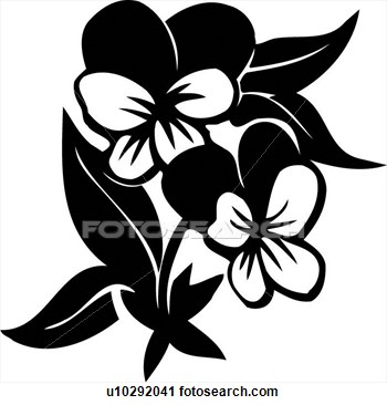 Clipart    Flower Johnny Jump Up Varieties  Fotosearch   Search    