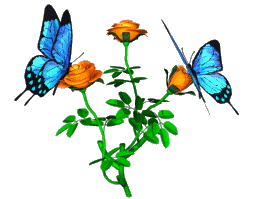 Free Butterfly Clipart   The Butterfly Website   Butterfly Clipart