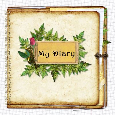 My Diary  Covers Template 002