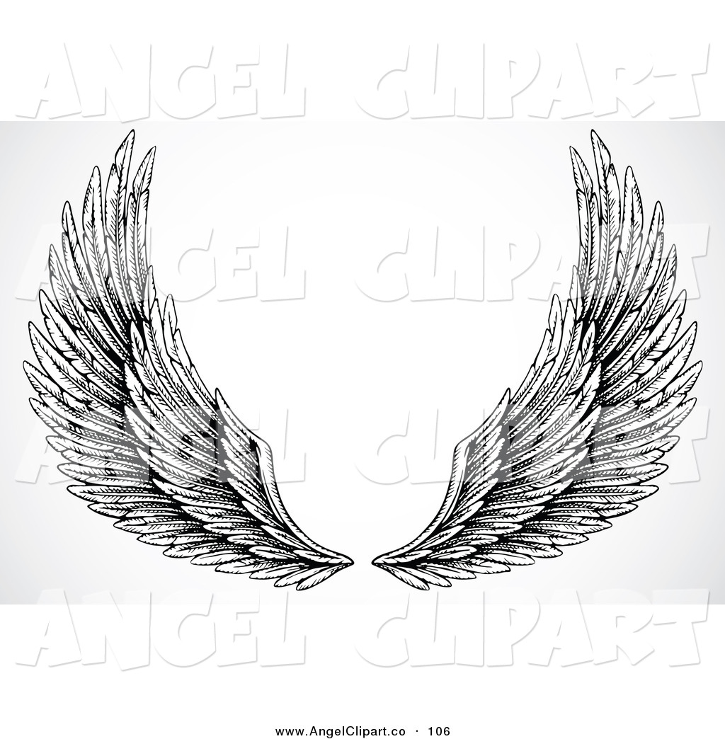 Pair Of Black And White Feathery Open Wings On White By Bestvector