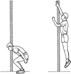 Purpose   To Determine The Explosive Leg Strength Required For Most