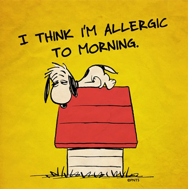 Think I M Allergic To Morning
