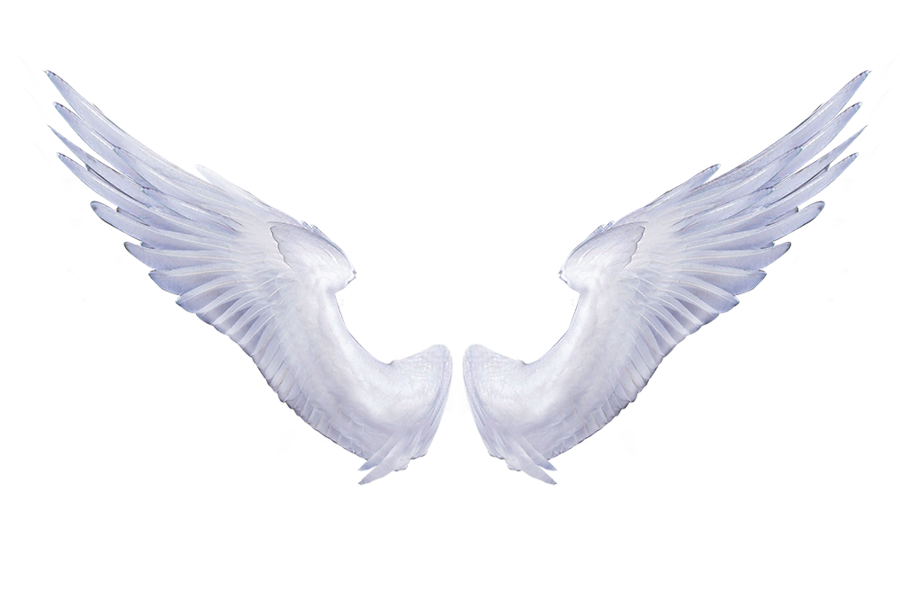 White Angel Wings 1 By Sassiinks On Deviantart