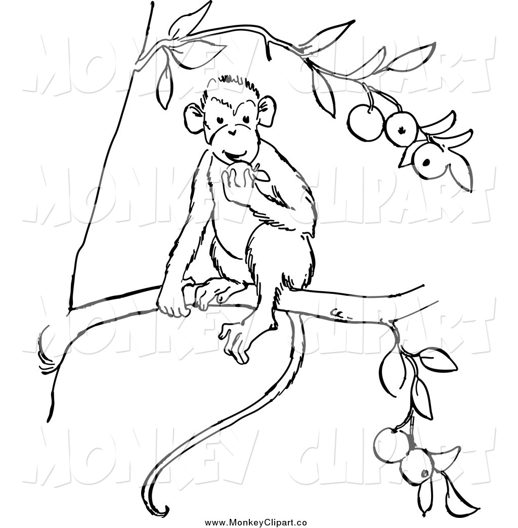 Art Of A Black And White Monkey Eating Fruit In A Tree By Picsburg