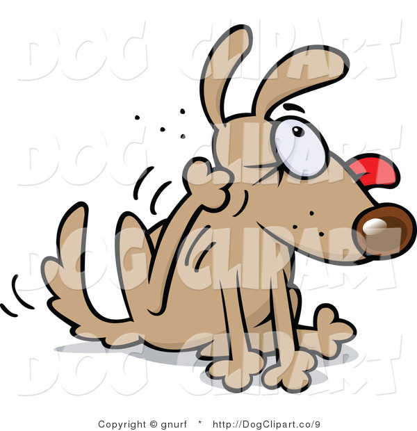 Clip Art Of A Dog Scratching His Ear By Gnurf    9