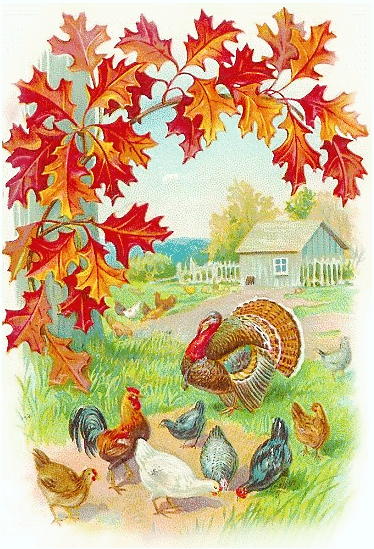 Free Clipart Of Turkey Autumn On The Farm Thanksgiving Clipart Of