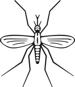 Mosquito Clip Art At Clker Com   Vector Clip Art Online Royalty Free