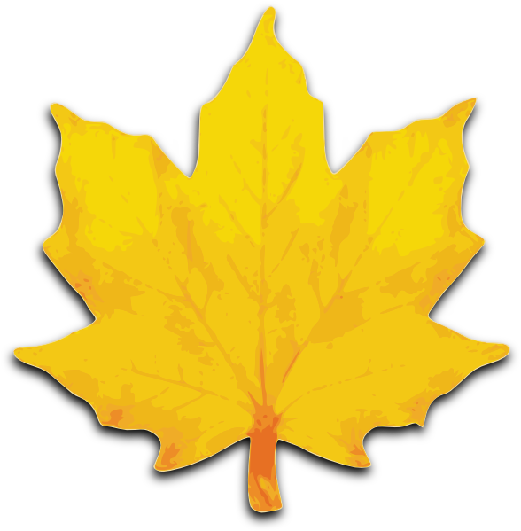 Orange Maple Leaf Clip Art At Clker Com   Vector Clip Art Online