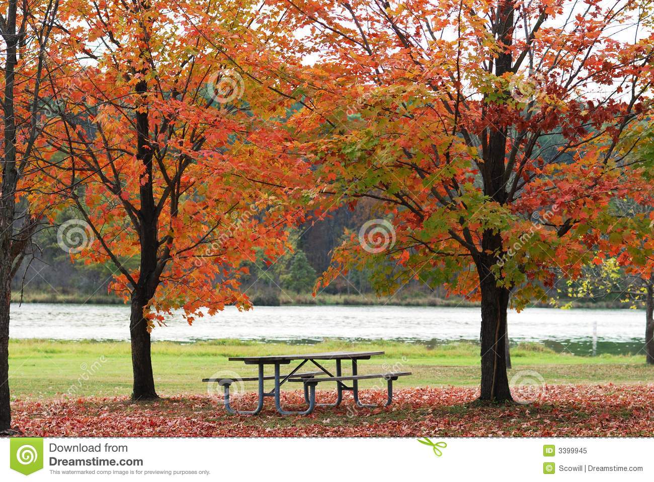 Picnic Table Between Two Trees In Autumn Colors Next To A Lake