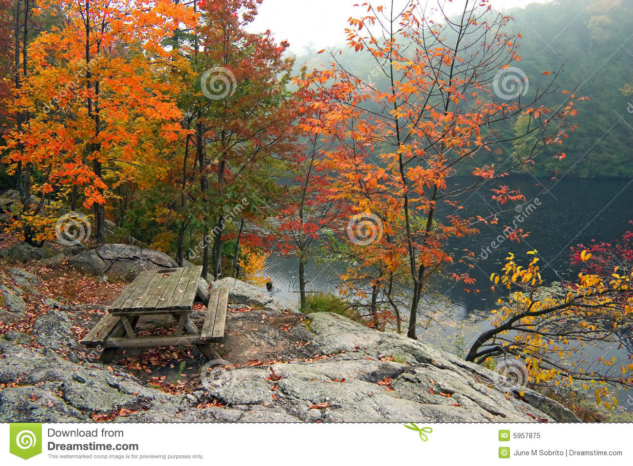 Picnic Table In Fall Royalty Free Stock Photo   Image  5957875