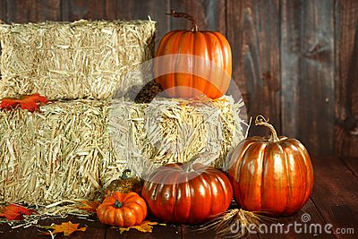 Rustic Fall Themed Scene With Pumpkins On Wood Grunge Background
