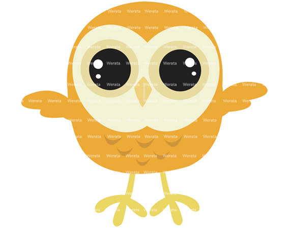 Baby Owl Clip Art   Baby Owl   Cute Owl Digital Clip Art   Baby Owl