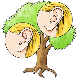 Follow Family Traits With An Easy Tree   Scientific American