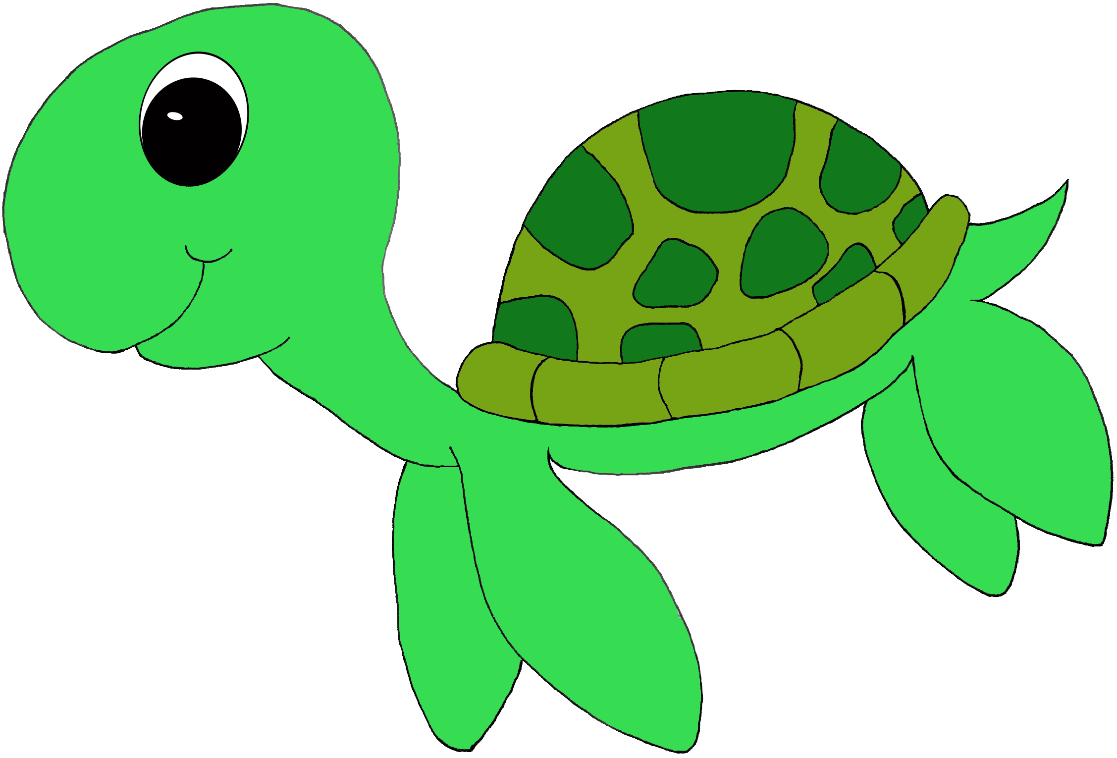Free Printable Turtle Clip Art   Green Sea Turtle Clip Gif   Kids