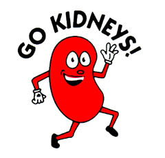 Here Are More Wonderful Links About Kidney Disease And Ways To Help