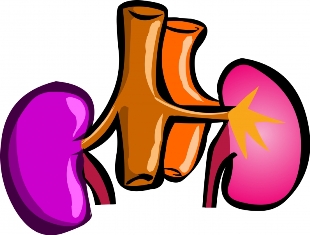     Kidney Disease  The Video Focuses On Kidney Awareness  Tune In And