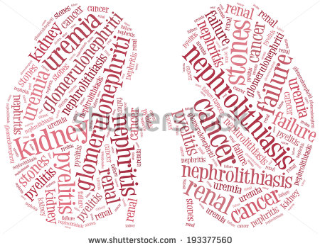 Word Cloud Illustration Kidney Diseases Related   Stock Photo