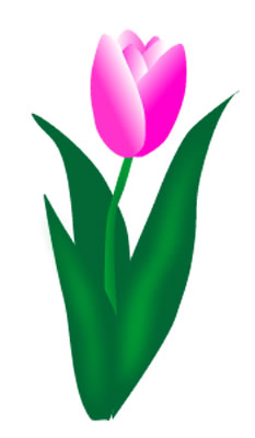 Easter Flowers Clip Art Pink Tulip Graphic