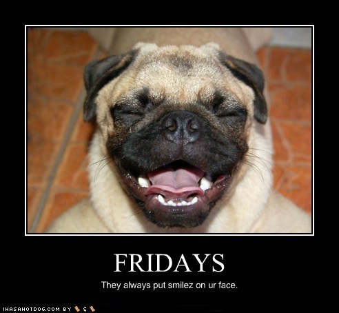Happy Friday   Funny Pictures