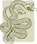 Rattle Snake Stock Illustrations   Gograph