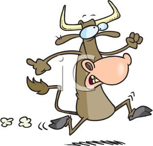 Cartoon Running Bull   Royalty Free Clipart Picture