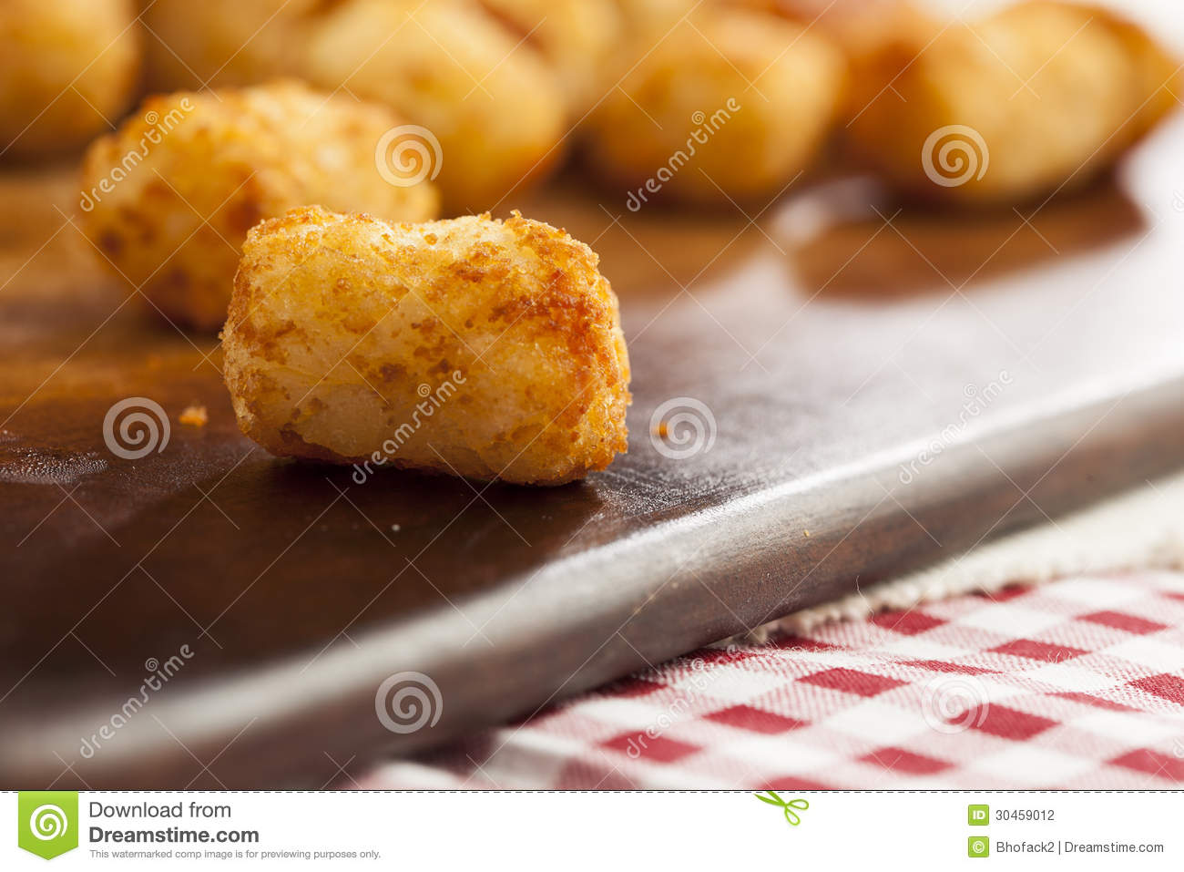 Organic Fried Tater Tots Stock Photography   Image  30459012