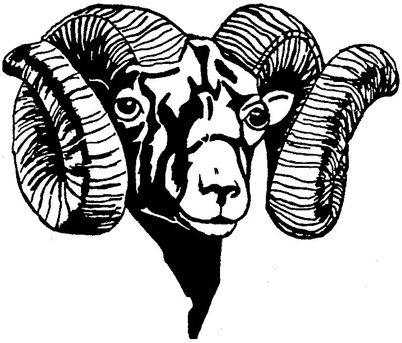 Ram Head Pictures Free Cliparts That You Can Download To You Computer