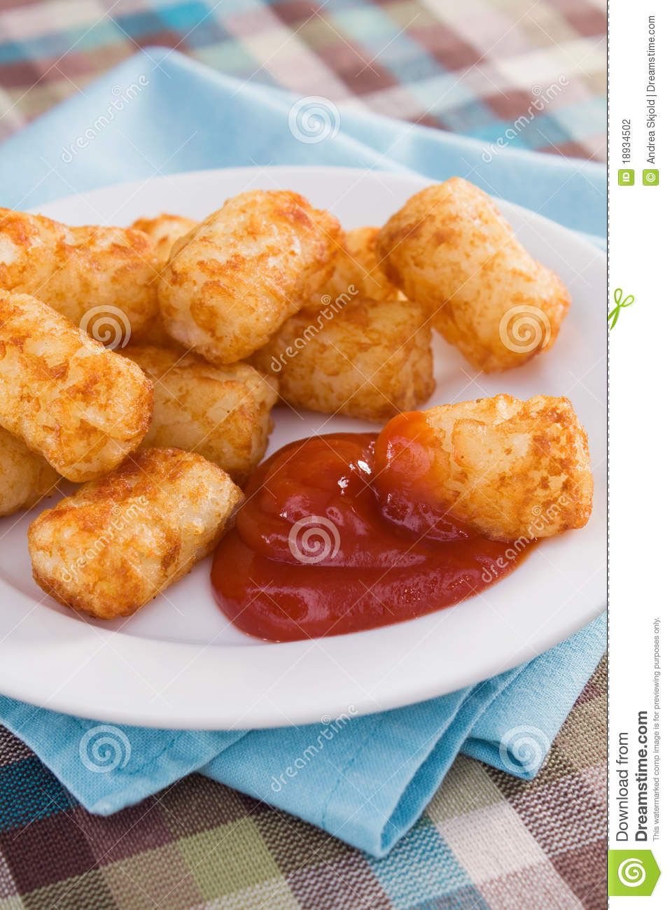 Tater Tots Stock Photography   Image  18934502