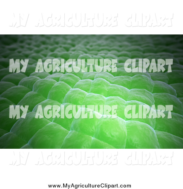 Agriculture Clipart Of A Green Plant Tissue Texture By Mopic    1687