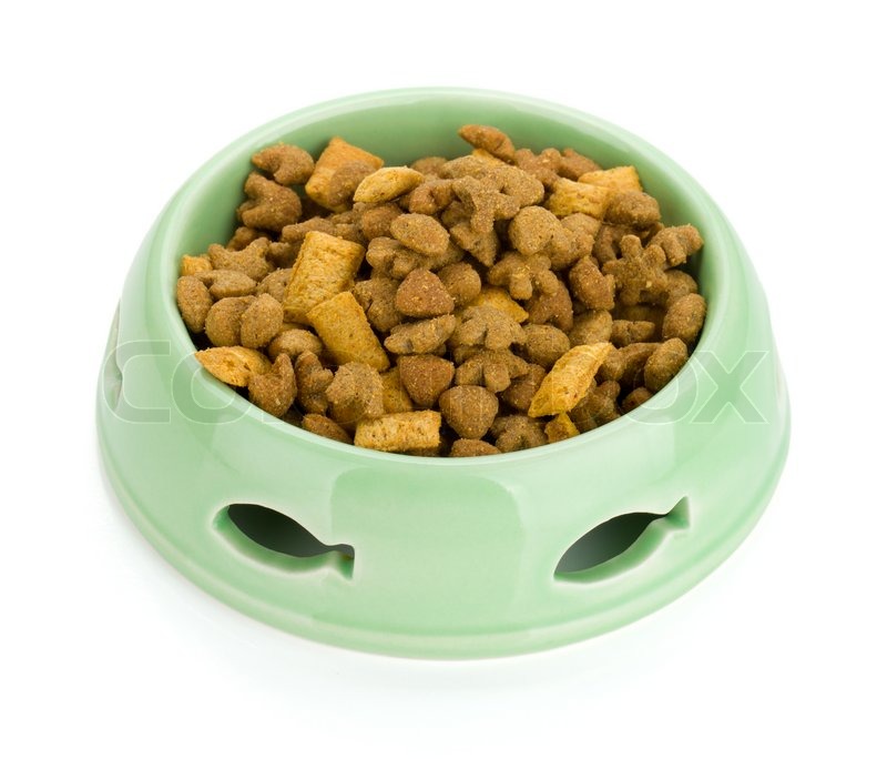 Cat Food In A Bowl   Stock Photo   Colourbox