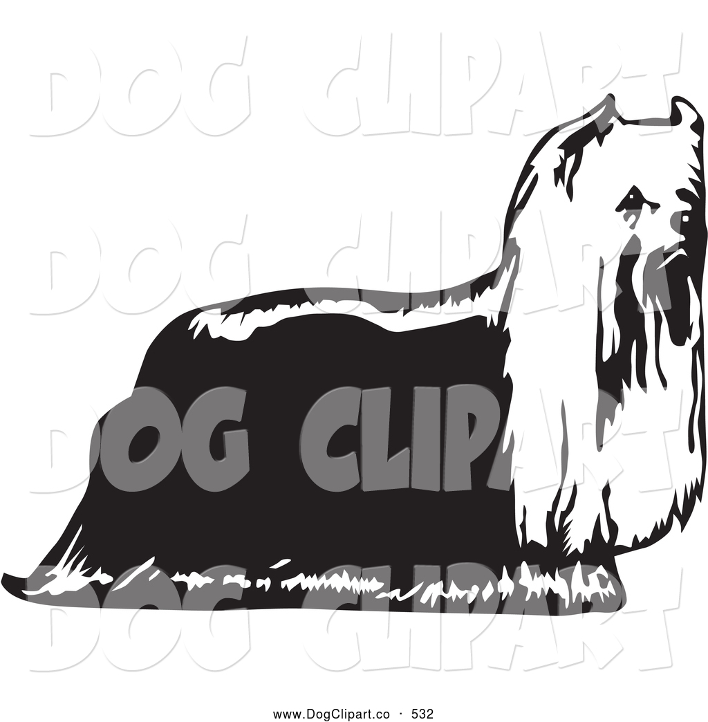 Clipart Illustration Of A Hairy Yorkie Yorkshire Terrier Dog In