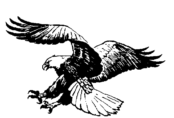 Eagle Wings Spread Clipart Black And White Eagle Clipart 3 Jpg