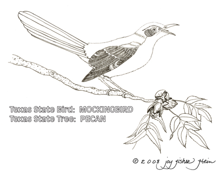 Mockingbird And Pecan Tree  Clip Art Jpeg File 450 X 350 Pixels