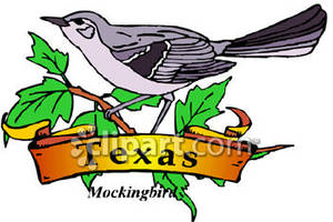 Texas The Mockingbird With Gold Banner Royalty Free Clipart Picture
