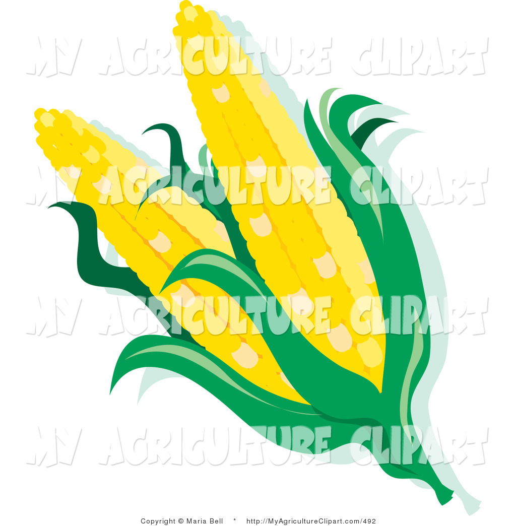 Vector Agriculture Clipart Of A Pretty Background Golden Wheat