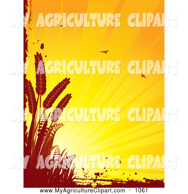 Vector Agriculture Clipart Of A Shining Orange Background With Birds