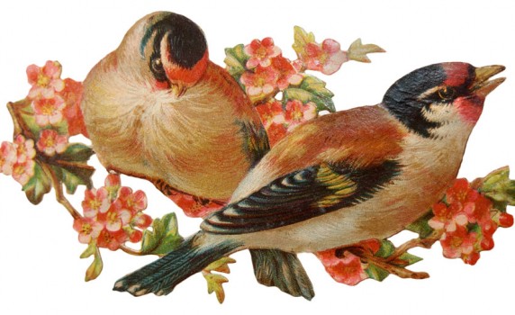 Vintage Christmas Bird Clip Art Vintage Victorian Birds Die