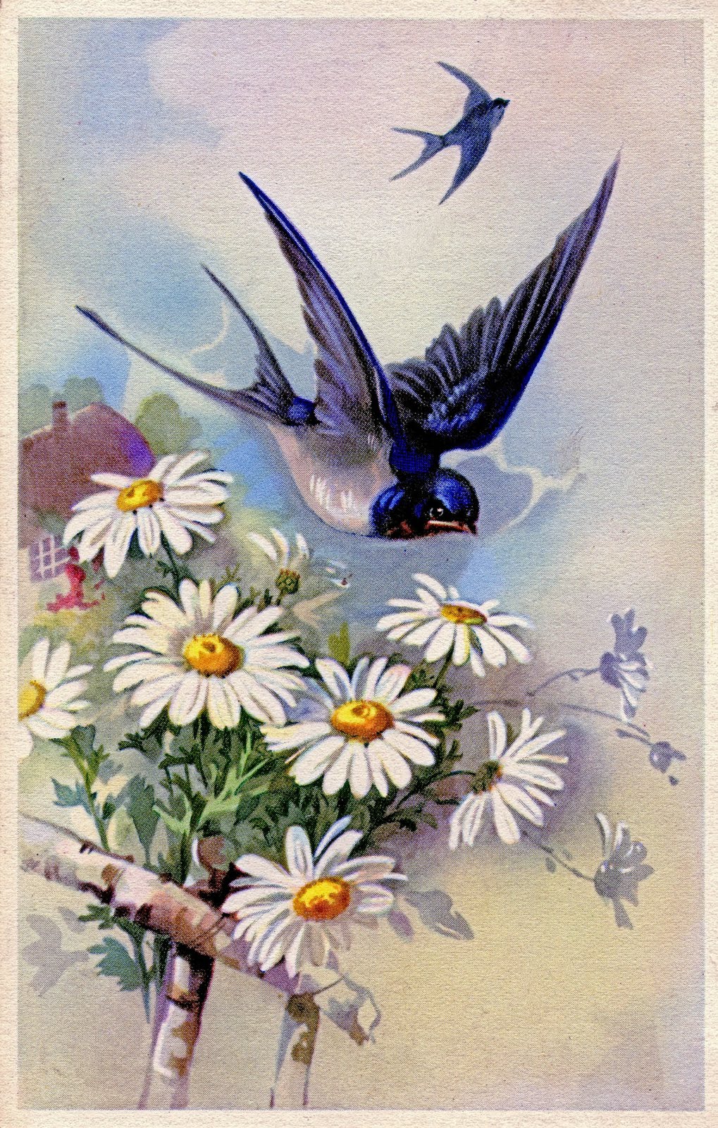 Vintage Clip Art   Swallow With Daisies   The Graphics Fairy