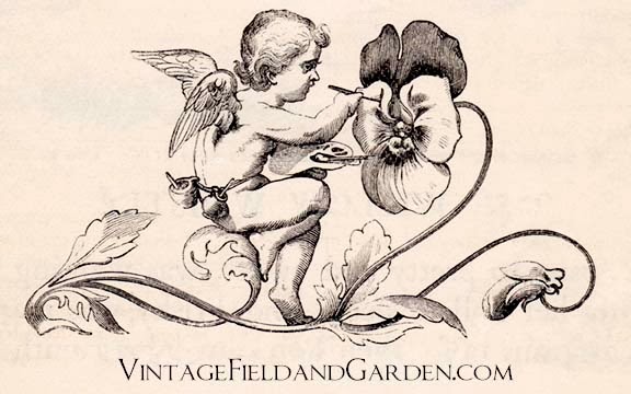 Vintage Field   Garden  Vintage Clipart  A Spring Workman  St