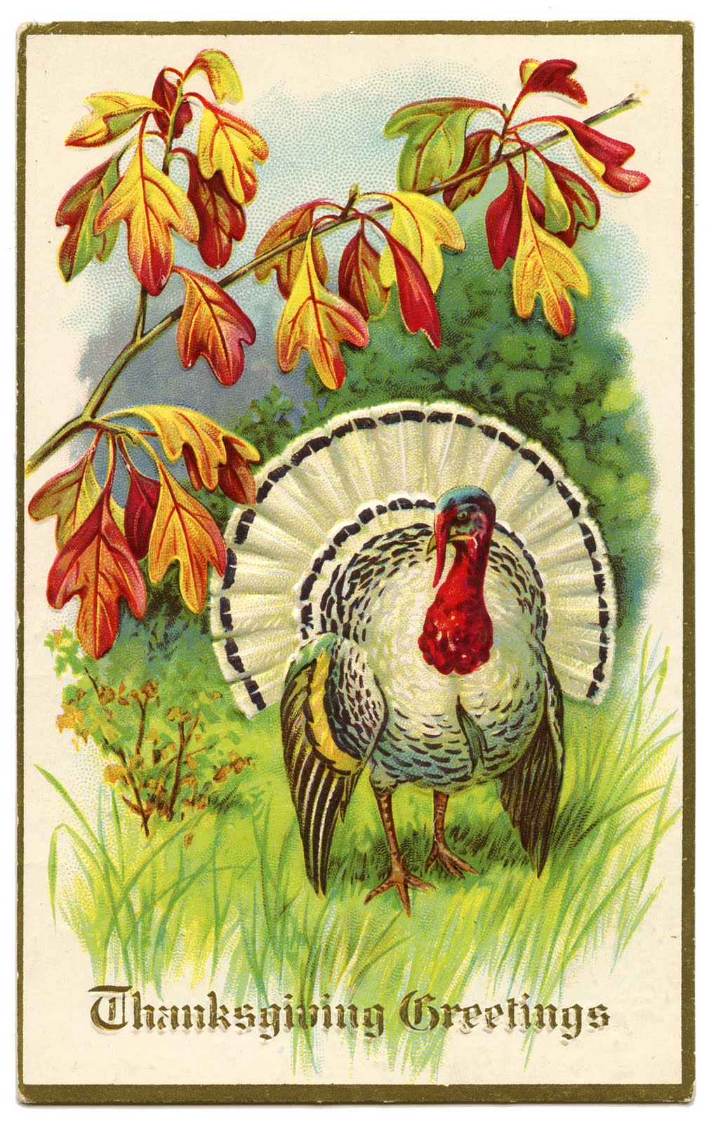 Vintage Thanksgiving Clip Art   White Turkey   The Graphics Fairy