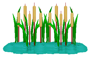 15 Cattails Clipart   Free Cliparts That You Can Download To You