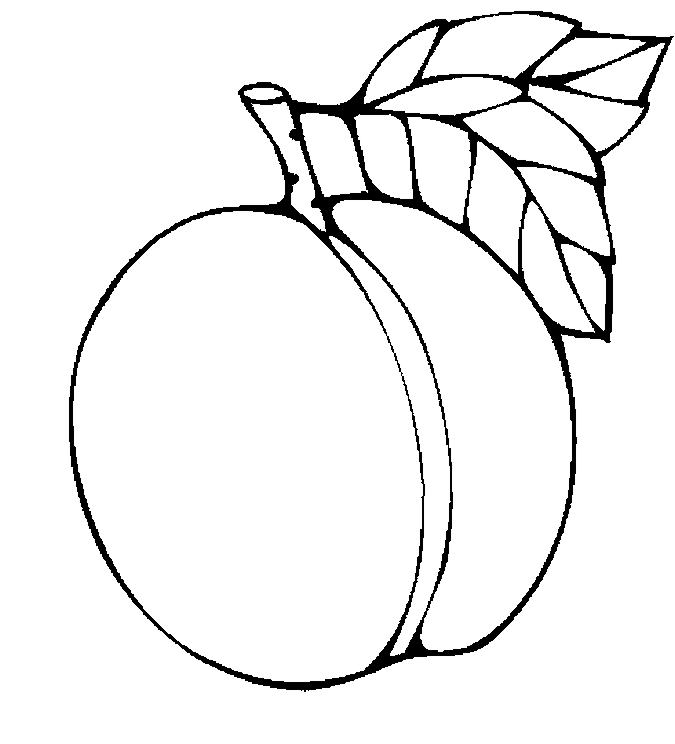 Apricot 2 Free Printable Fruits Coloring Pages