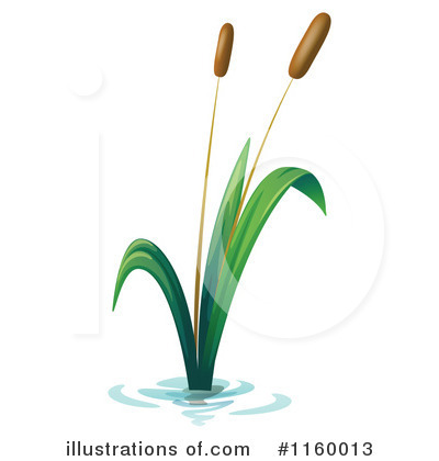 Cattail Divide Http Www Polyvore Com Cattail Clip Art Cattails In