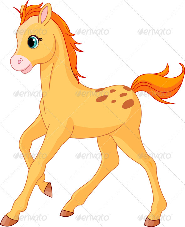 Cute Horse Foal Running   Animals Characters