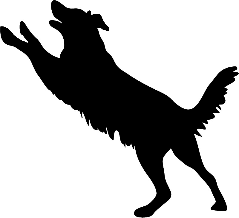 Dog Silhouette Dog Jumping Jpg