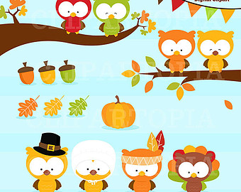 Fall Owls Digital Clipart   Thanksgiving Owl Clip Art   Owls Clipart    