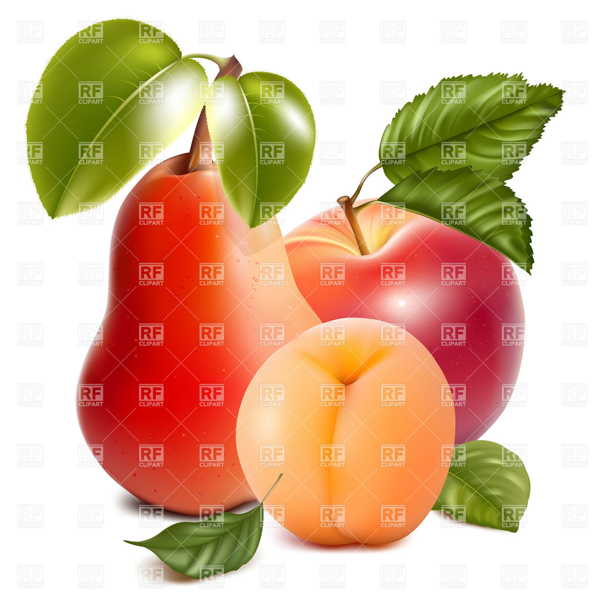 Fruits   Apple Pear And Apricot Food And Beverages Download Royalty