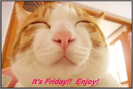 Happy Cat Friday Graphics Code   Happy Cat Friday Comments   Pictures