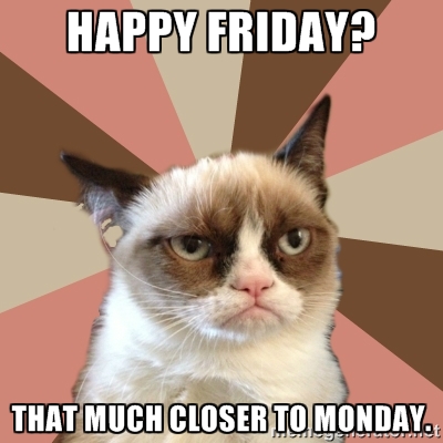 Happy Friday  That Much Closer To Monday    New Grumpy Cat   Meme