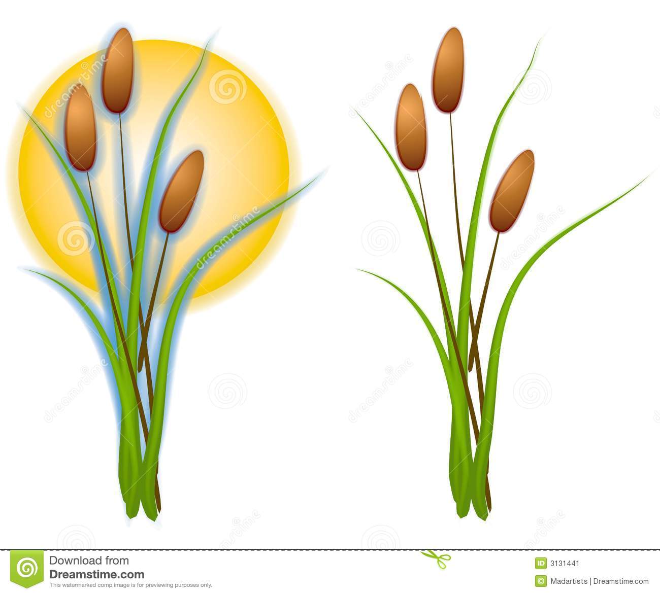 Isolated Cattails Clip Art Stock Image   Image  3131441